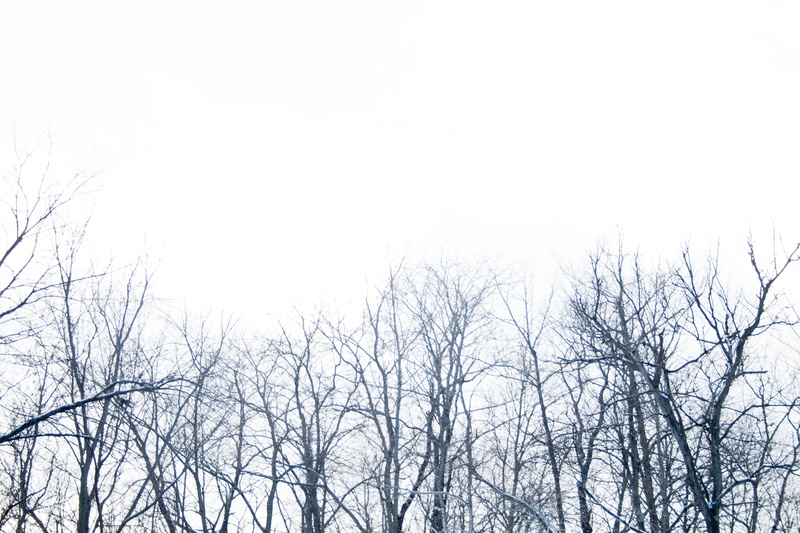 nature, bare tree, clear sky, branch, tree, clowds, cedarville, outdoors, united states, low angle view, copy space, growth, snow, landscape, overcast