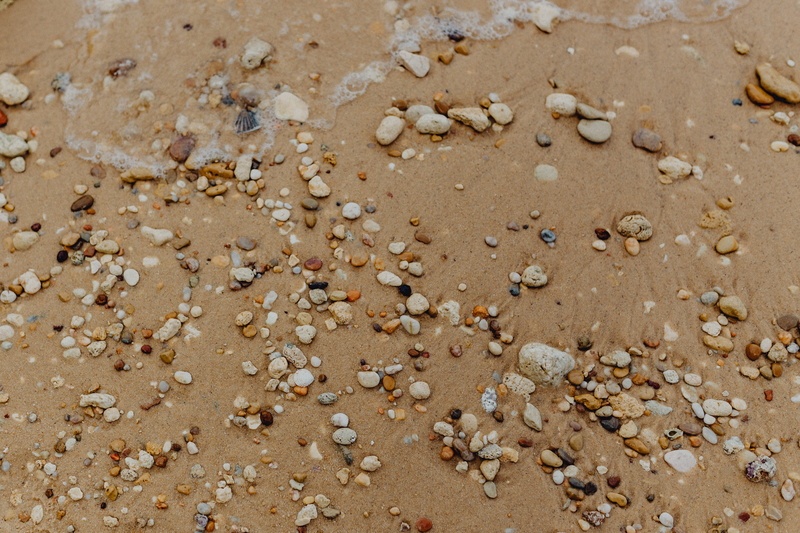 pebbles, directly above, no people, small, background, amp, shell, sea, food and drink, round, day, outdoors, stones, pattern, seashells, large group of objects