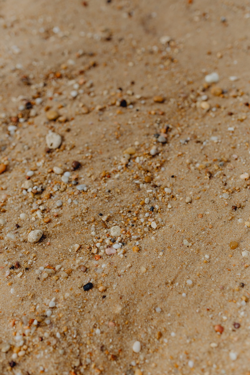 beach, no people, textured, full frame, pattern, shells, round, nature, sand, focus on foreground, selective focus, 5K, detail, stones, land, extreme close-up