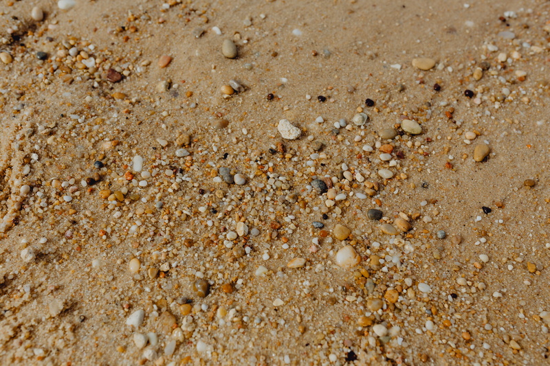 many, animal, close-up, dirt, no people, stones, backgrounds, full frame, brown, land, background, outdoors, nature, textured, pebbles, sunlight, small