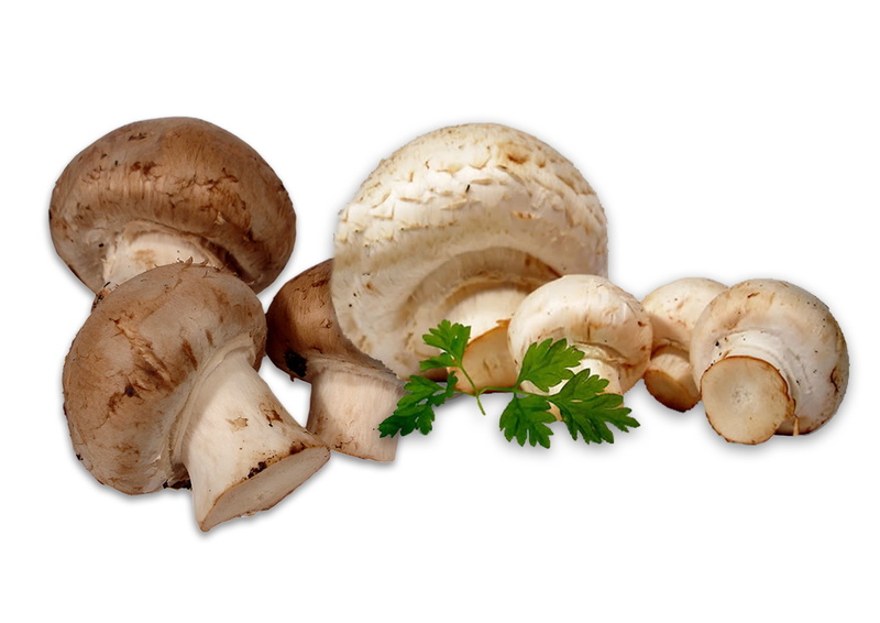 macro, still life, cut out, white Background, raw Food, food, close-up, vegetarian Food, parsley, healthy Eating, fungus, fruits And Vegetables, mushrooms