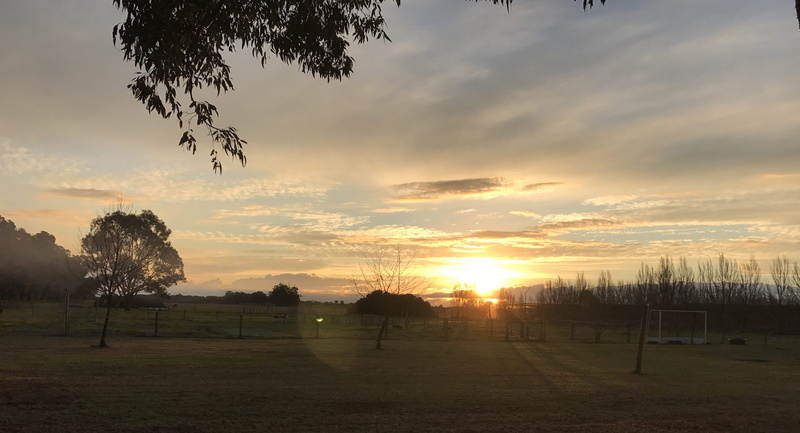 australia, clouds, plant, tree, landscape, outdoors, country, fence, thecountry, home, land, countrylife, sunsets, boyanup, orange color, thefarm, sun