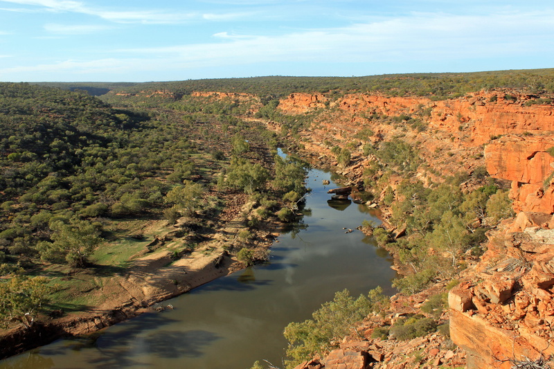 australia, plant, nature, 4K, water, scenics - nature, tree, beauty in nature, high angle view, idyllic, sky, no people, day, outback, tranquility, reflection