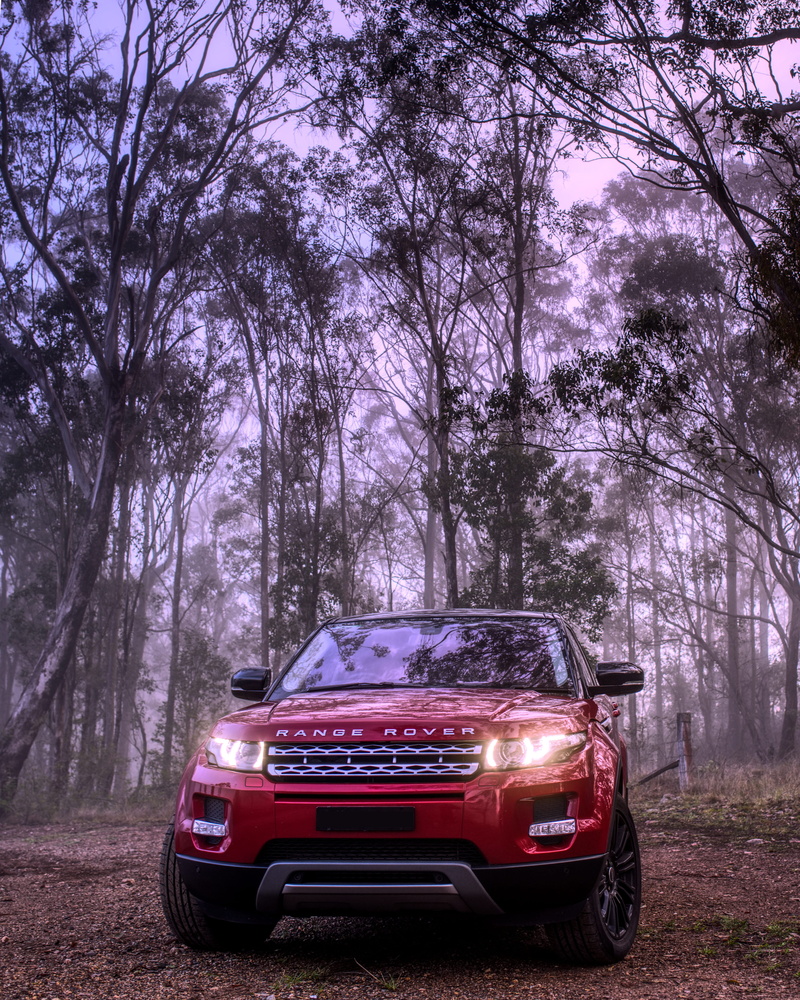 travel, parking, plant, automotive, stationary, motor vehicle, no people, transportation, land vehicle, luxury, range rover, red, australia, growth, outback