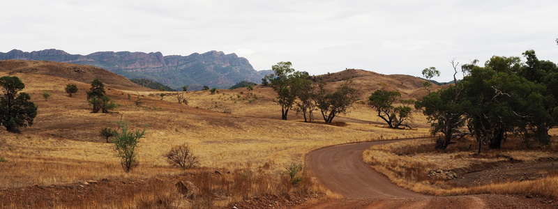 outdoors, landscape, rustic, outback australia, tree, semi-arid, travel, remote, barren, dry, tranquility, trees, flinders ranges, day, near, beauty in nature