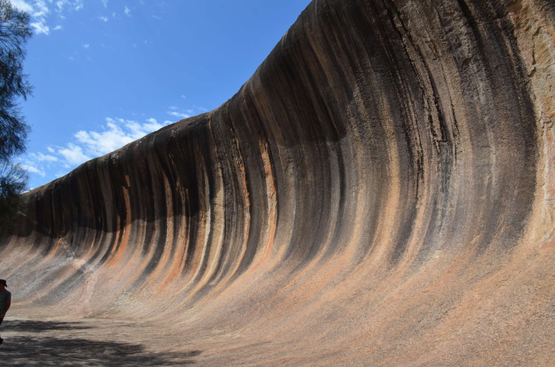 land, plant, beauty in nature, tranquil scene, outdoors, 4K, no people, outback, environment, sunlight, natural rock formation, pattern, day, wave rock