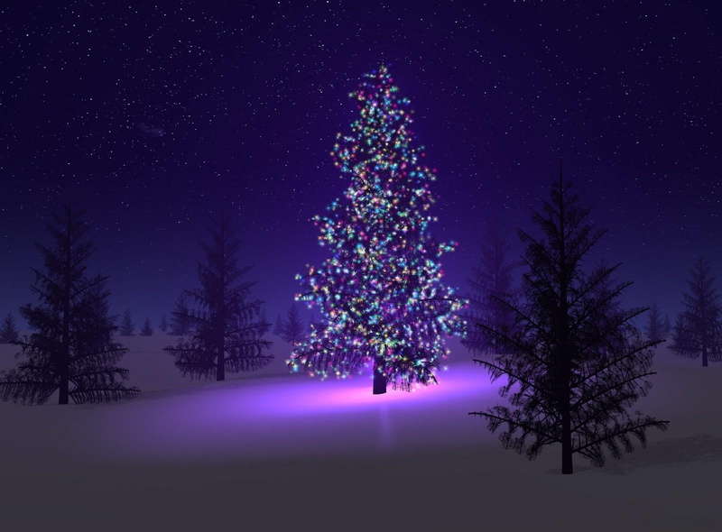 landscape, star - Space, fir Tree, frozen, star Shape, christmas decoration, night, mountain, frost, dark, dusk, garlands, nature, pine Tree, light - Natural Phenomenon
