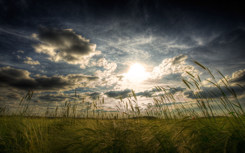 2K, nature and landscape, pasture