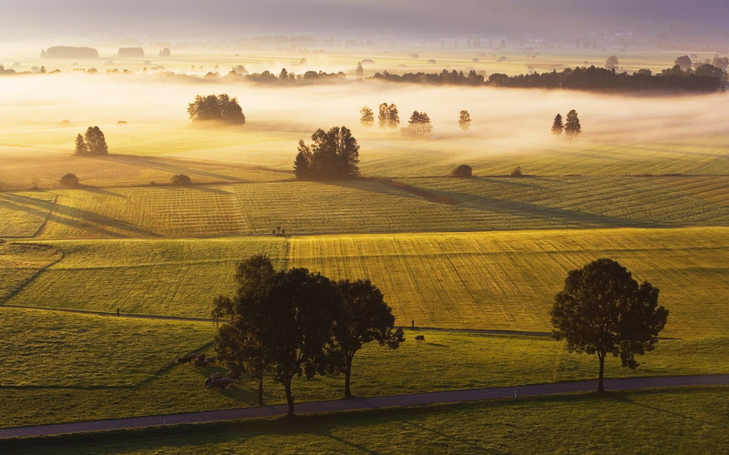 non-urban scene, green, sky, growth, agriculture, photography, tranquility, road, tranquil scene, scenics - nature, mist, cloud - sky, rolling landscape