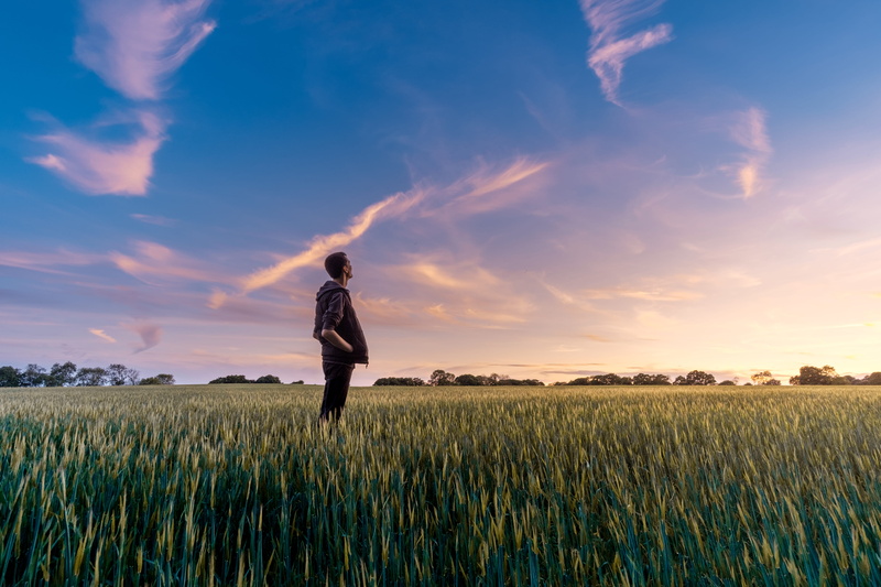 4K, We Are, standing, rural Scene, beauty in nature, grass, silhouette, men, lifestyles, sky, sunlight, crop, green, growth, sunset, summer, cereal plant