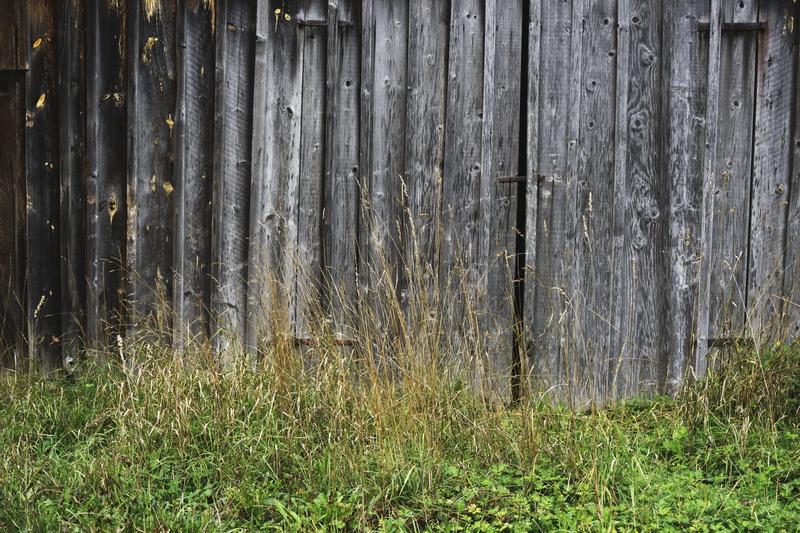 entrance, dirty, field, grunge, wooden, protection, farm, agriculture, forest, Barn, color Image, door, wall - building feature, barrier, building, aged