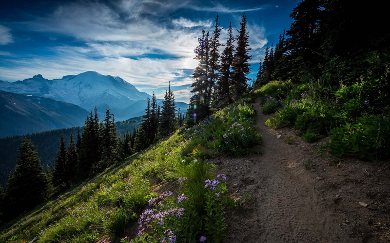 path, landscape, beauty in nature, mountain range, plant, tranquility, tree, mountains, nature, land, tranquil scene, scenics - nature, no people, mountain