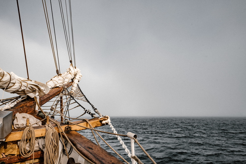 machine, nature, horizon, tower, barge, animal, boat, building, architecture, leisure activities, vehicle, travel, rust, sea, rigging, water, brown, sailing