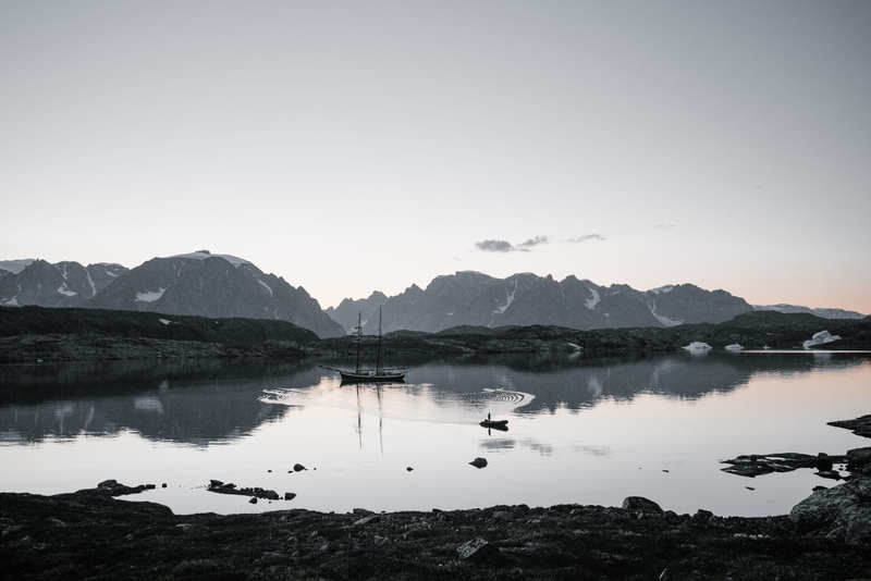 animal, nature, body, idyllic, copy space, tranquil scene, tranquility, reflection, ice, lake, scenery, boat, sailboat, bird, day, land, clear sky, white