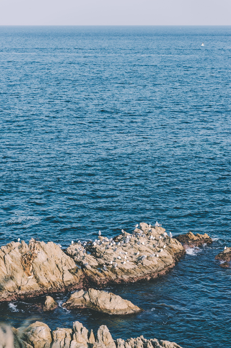 selective, beauty in nature, blue, vessel, vehicle, daytime, leisure activities, rock, tower, tranquility, rocky coastline, animal, rock formation, watercraft