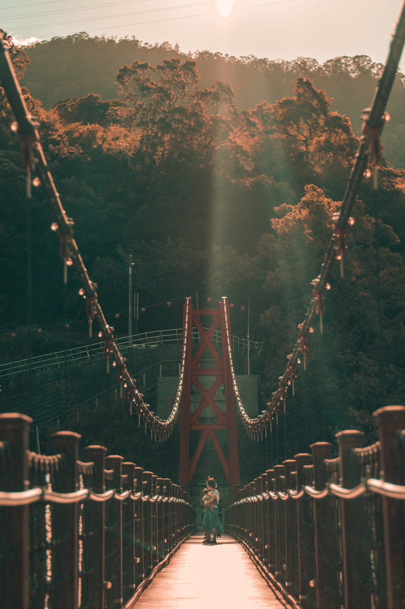 footbridge, railing, hugging, best, nature, built structure, fence, architecture, woman, one person, plant, hanging, sunset, standing, evening, 5K, the way forward