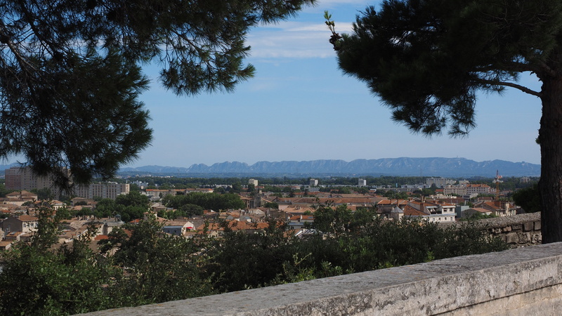 high angle view, plant, water, day, garden, building exterior, chaine of the alpilles, avignon, outdoors, alpilles, house, mountain, view, built structure