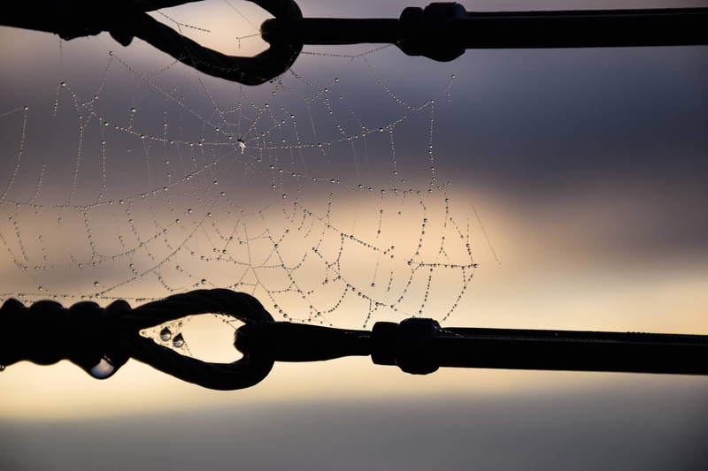 focus on foreground, web, whiteside mountain, sky, dew, 1080P, morning, wet, beauty in nature, close-up, fragility, drop, outdoors, safety, rain, united states