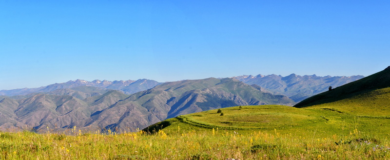 scenics, high, mountain range, natural turkey, summer, background, travel, peace, outdoors, plant, near, rural scene, mountains, grassland, sky, eastern black sea