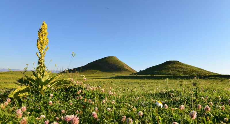 natural life, natural turkey, 5K, flower, semi-arid, landscape, eastern black sea, environmental, panoramic, sunny, tranquility, non-urban scene, highland