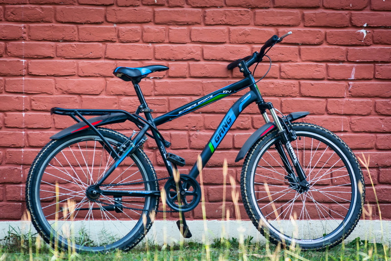 building exterior, parking, plant, wheel, no people, brick, wall, extreme, Mountain Bike, land vehicle, bike, red, chain, action, Cycle, built structure