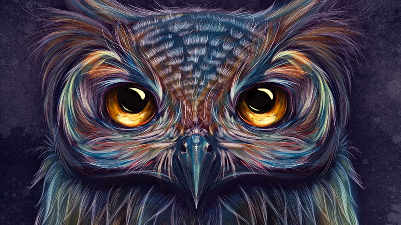 5k, owl, 5K, 4k, artwork, hd, artist, digital art, colorful