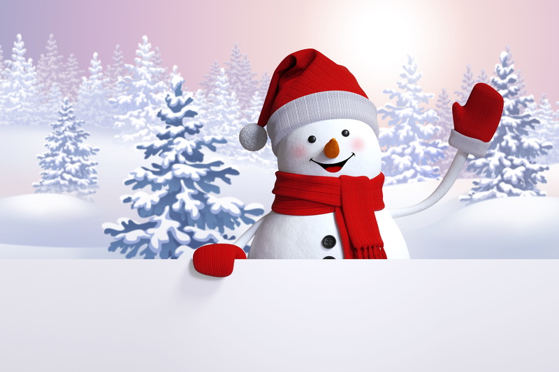 tree, red, warm clothing, christmas ornament, nature, representation, hat, glove, cold temperature, clothing, christmas decoration, happy, decoration, scarf