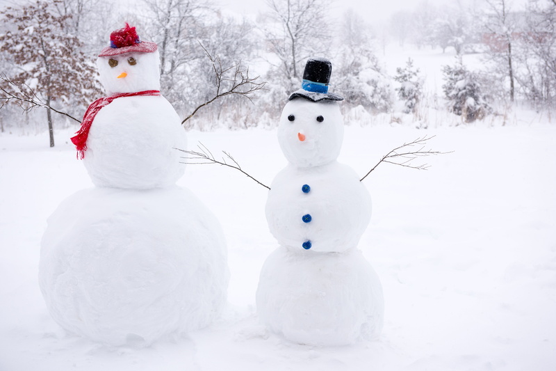 celebration, representation, human representation, snowman, fir tree, white color, two, day, snow, tree, christmas, nature, scarf, sculptures, cold temperature