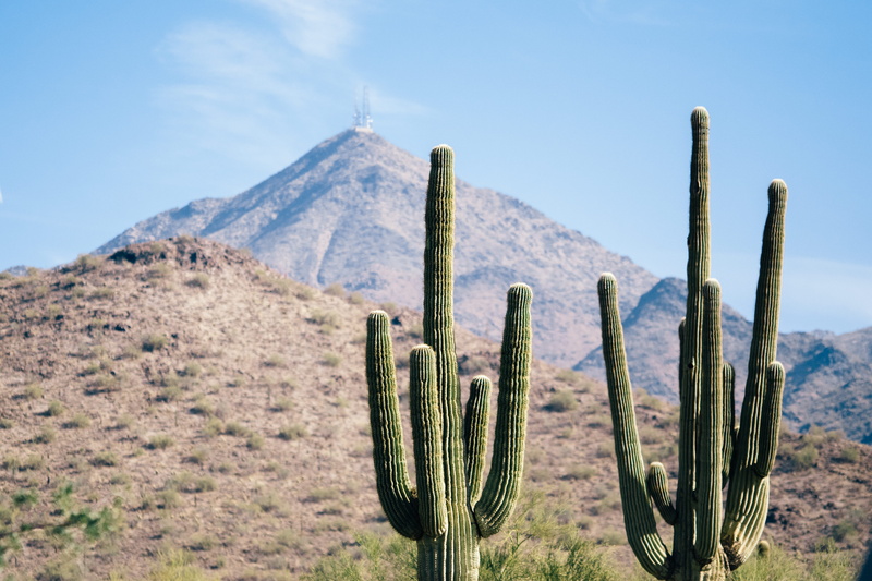 field, mcdowell mountain regional park, cell tower, sun, arid climate, formation, succulent plant, landscape, desert, plant, sky, beauty in nature, blue