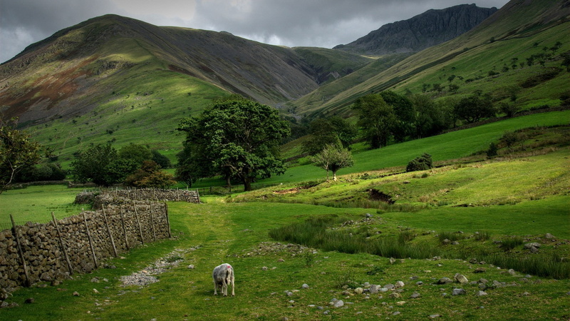 1080P, super pictures nature 1920x1080