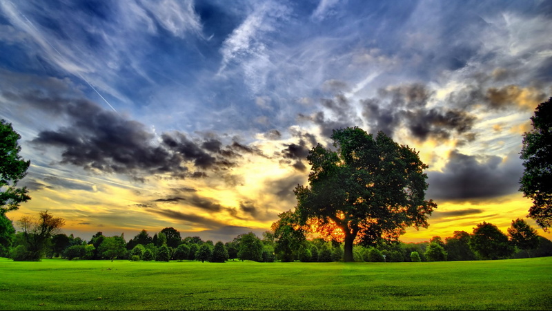 landscape, green color, scenics - nature, beauty in nature, super pictures nature 1920x1080, idyllic, plant, 1080P, cloud - sky, outdoors, no people, tree