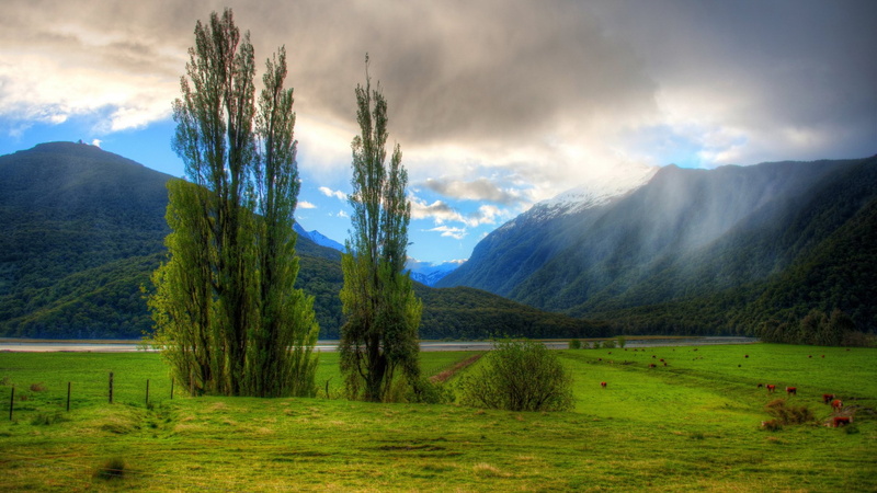 outdoors, water, environment, 1080P, nature, lake, beauty in nature, scenics - nature, super pictures nature 1920x1080, grass, tree, tranquility, mountain range