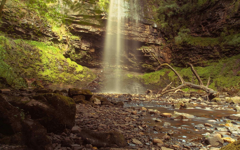 power in nature, falling water, non-urban scene, solid, scenics - nature, idyllic, flowing, tree, water, day, flowing water, rock - object, super  hd widescreen nature 1920x1200