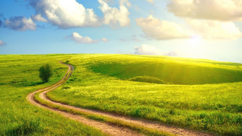 land, cloud - sky, field, winding road, road, hill, beauty in nature, springtime, day, environment, rolling landscape, landscape, scenics - nature, non-urban scene