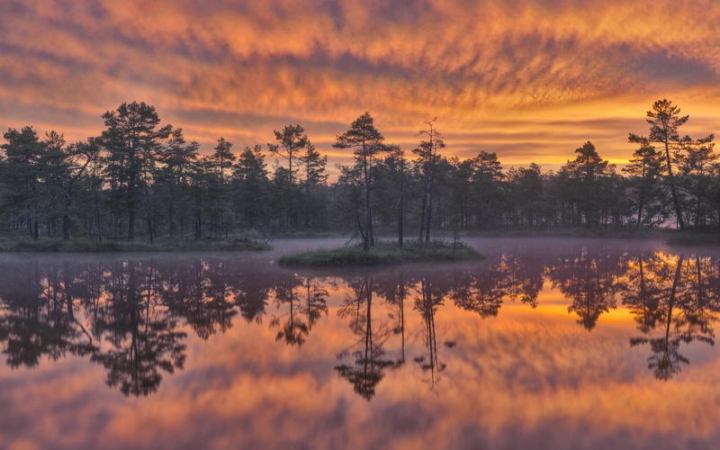 1080P, super  hd widescreen nature 1920x1200