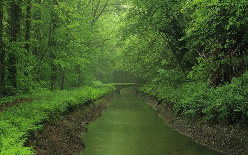 super  hd widescreen nature 1920x1200, 1080P