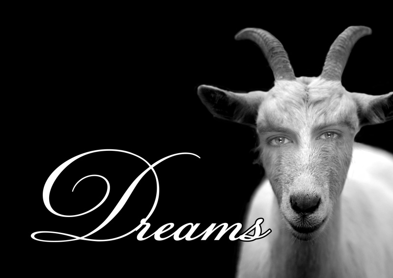 people, shadow, imagination, horns, mythical creatures, communication, grayscale, overlay, 4K, human body part, Human, desire, domestic animals, looking at camera