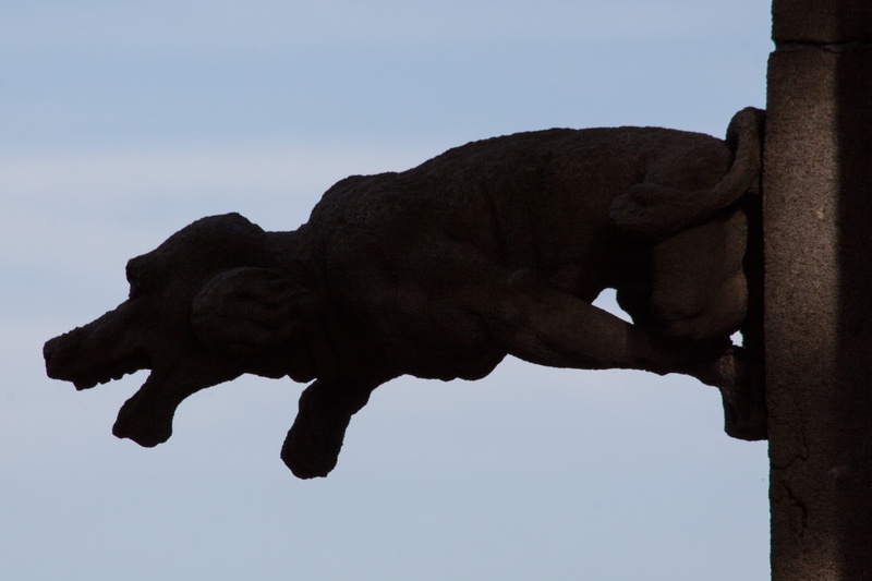 animal themes, statue, sculpture, gothic, church, representation, mythical creatures, figured, nature, mammal, low angle view, 4K, animal, Gargoyle, side view