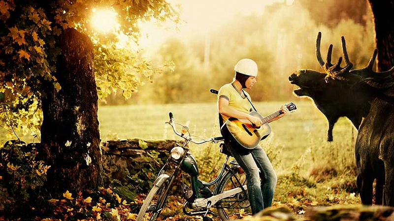 women, summer, work Helmet, sports Helmet, full length, group Of People, caucasian Ethnicity, tree, one person, enjoyment, outdoors, woodland, riding, land