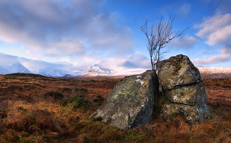 Range, non-urban scene, plant, land, remote, Scotland, unitedkingdom, moorland, rock - object, West, moor, solid, mountain, Landscape, tranquil scene, Area