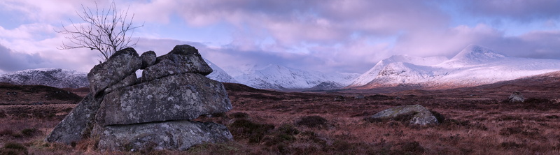 sky, land, no people, Nature, 5K, winter, snow, travel destinations, landscape, United Kingdom, moorland, mountain peak, environment, rock, Tree, rannoch