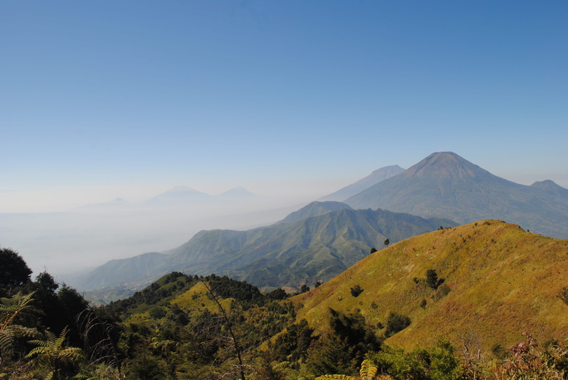 sindoro, mountain peak, copy space, prau, beauty in nature, environment, sky, mountain ridge, wonoboyo, tranquil scene, tranquility, plant, tree, 4K, mountain range