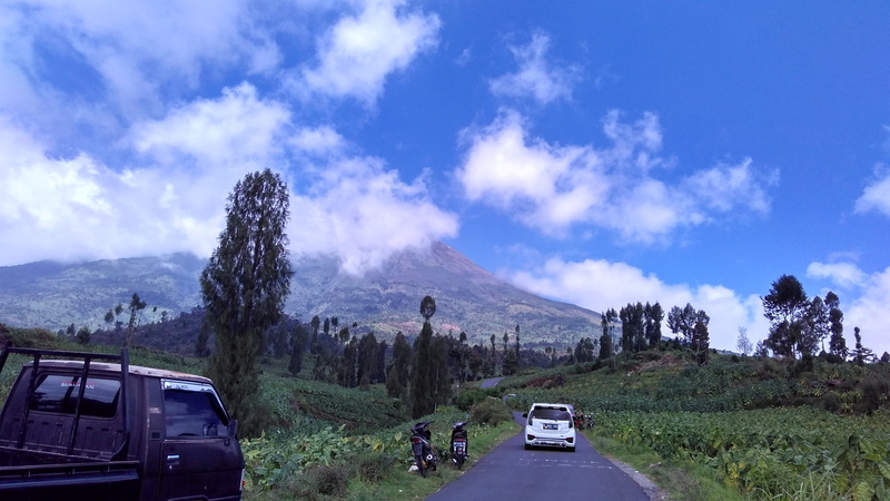 mountain, plant, central java, mode of transportation, tree, scenics - nature, road trip, sports utility vehicle, landscape, travel, cloud - sky, transportation