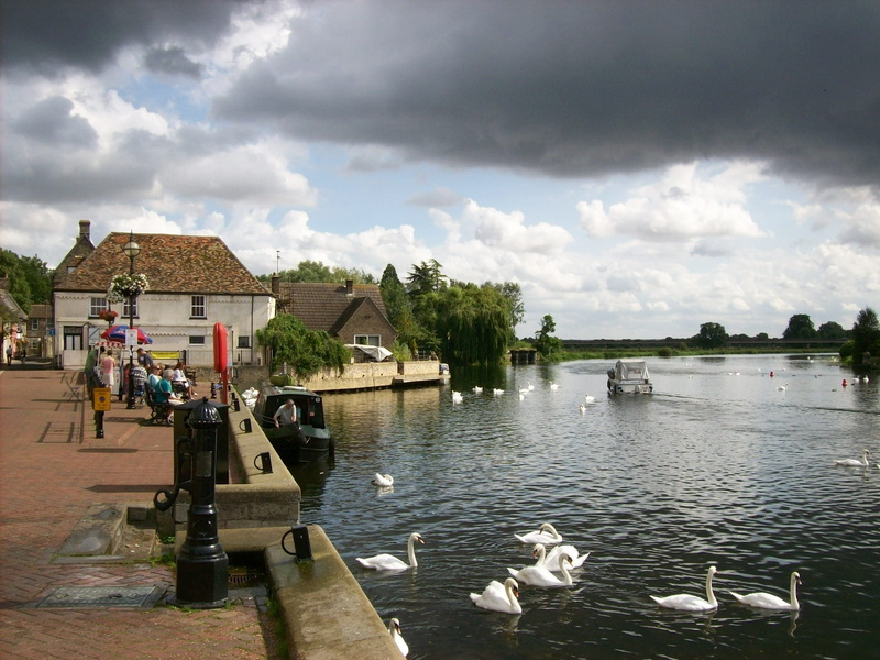 animals in the wild, summer, animal wildlife, building, house, vertebrate, architecture, trees, scenic, river, geese, animal, cloud - sky, england, sky