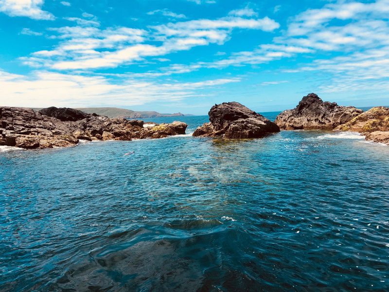 seal island, water, no people, st ives, tranquility, waterfront, rock, outdoors, rock - object, cornwall, beach, sky, beauty in nature, tranquil scene