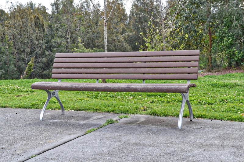 park bench, bench, relaxation, tree, park - man made space, tranquility, peace, green color, 2K, wooden bench, growth, no people, plant, grass, seat, land