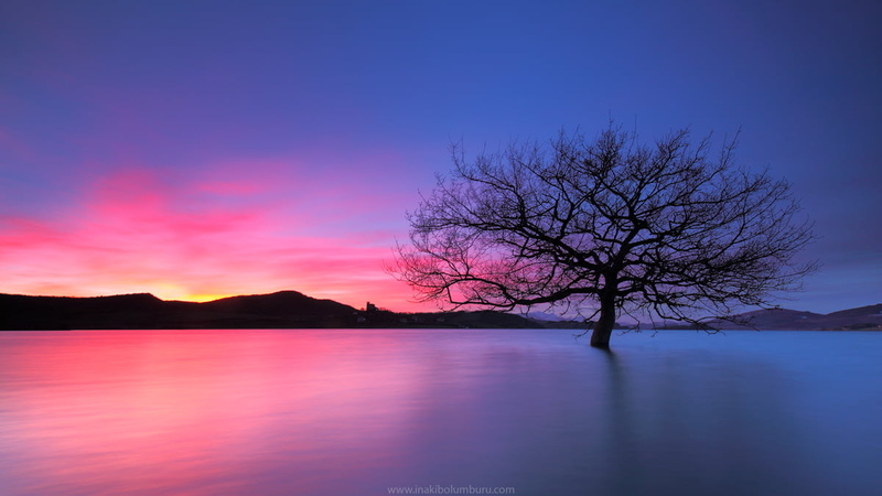 light, landscape, euskadi, tree, peaceful, WARM, ganboa, horizon, sunset, álava  araba, gamboa, lake, 480P, COLD, solitary, sunrise, sky, nature, over