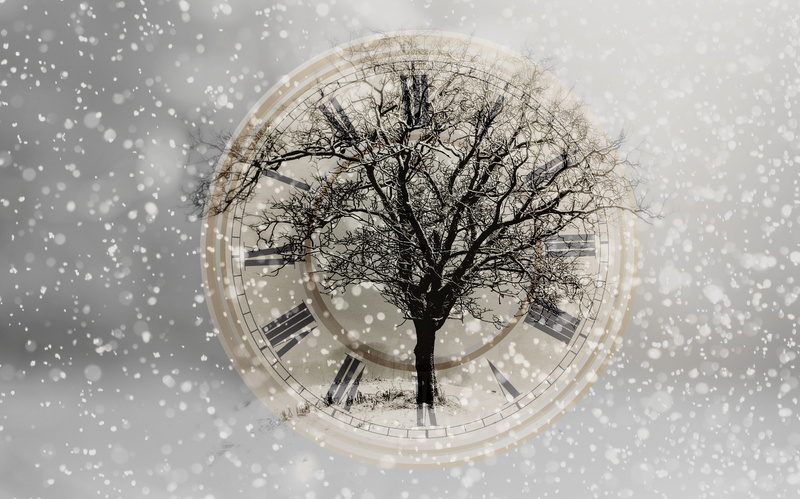 cold temperature, bare tree, winter, cold, architecture, snow, geometric shape, plant, shape, building exterior, solitary, tree, no people, extreme weather