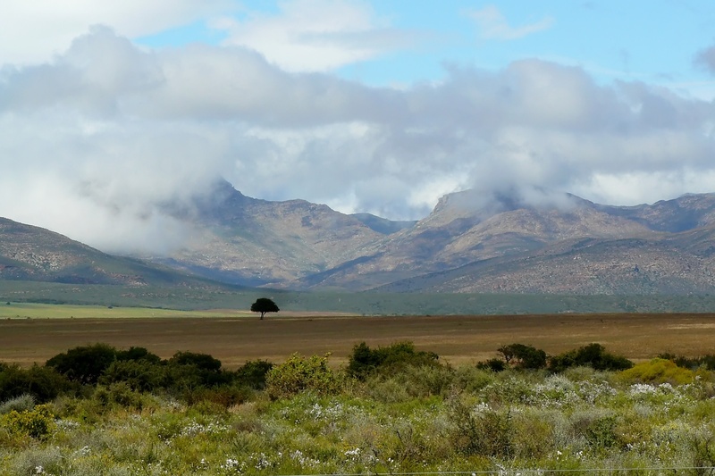 weather, weather mood, day, cloud, plant, mountain, non-urban scene, little karoo, plain, 2K, horizon, near, land, vision, scenics, wide, remote, panorama