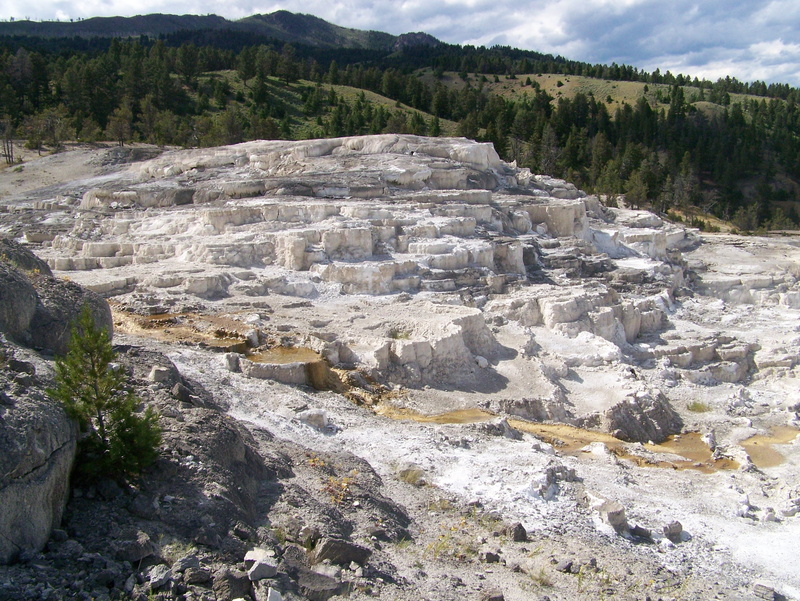 tree, beauty in nature, environment, mountain, land, no people, sky, quarry, geology, tranquil scene, day, yellowstone, outdoors, tranquility, rock - object